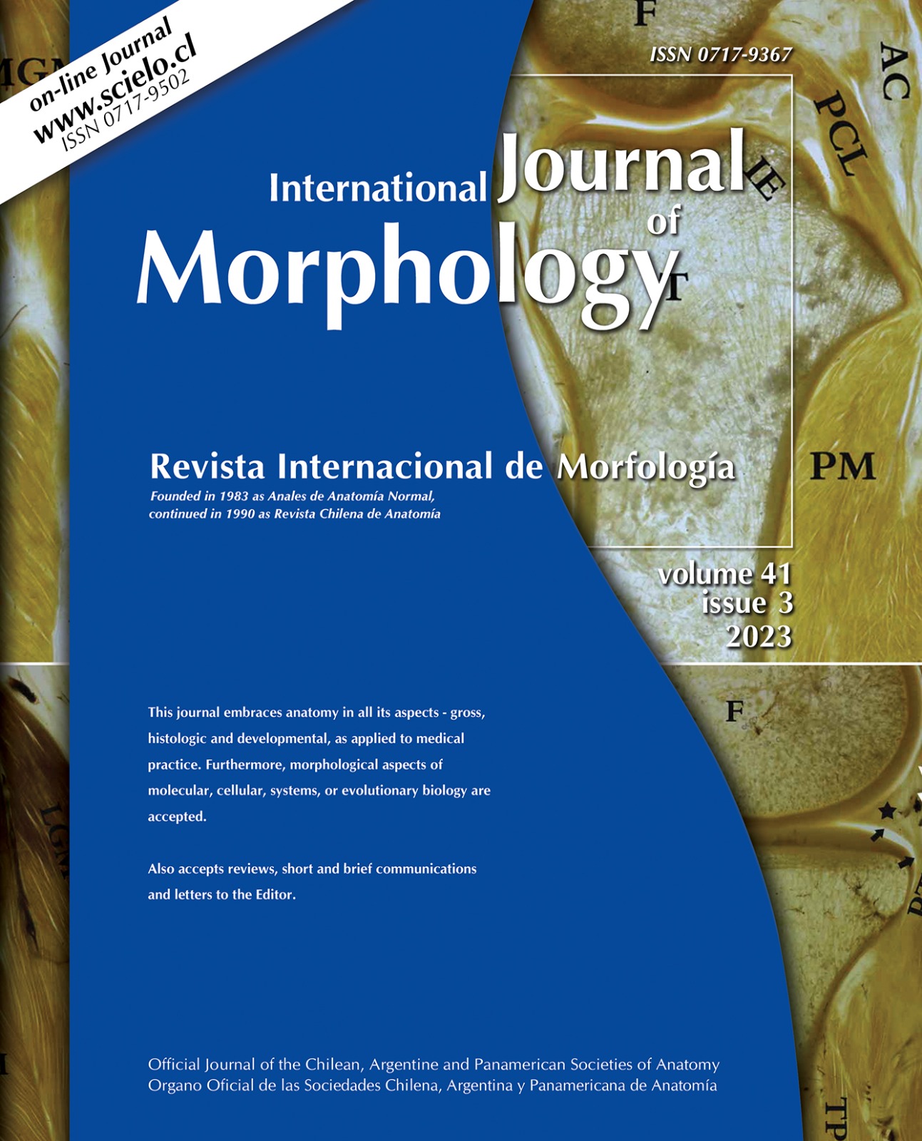 Fasc culo 3 Archive International Journal Of Morphology fasc-culo-3-archive-international-journal-of-morphology